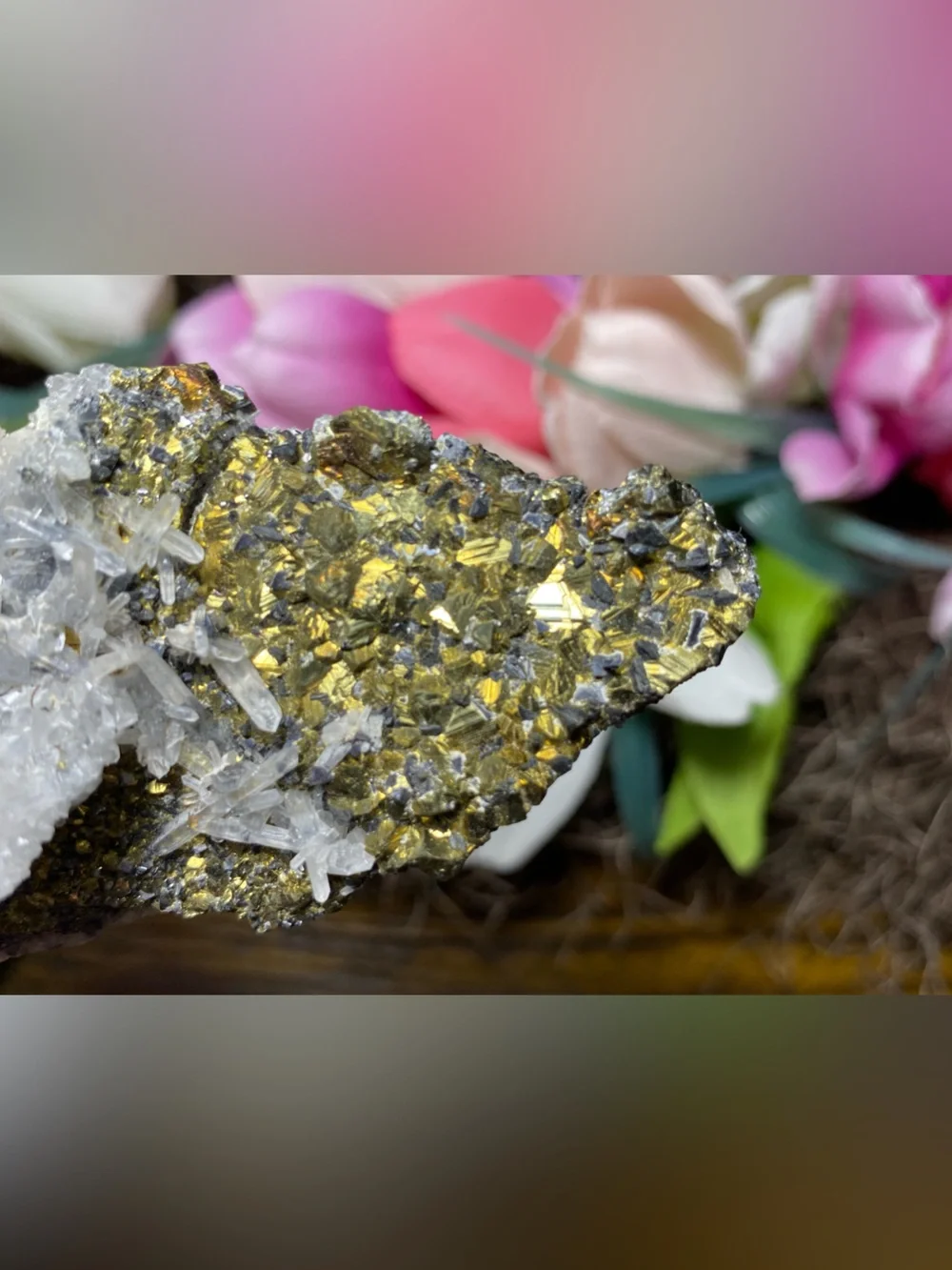 Skeletal Quartz & Pyrite